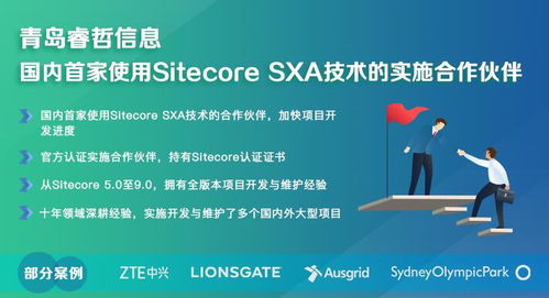 Sitecore 内容管理系统二次开发好,还是定制开发